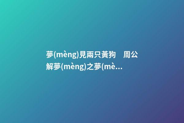 夢(mèng)見兩只黃狗　周公解夢(mèng)之夢(mèng)到兩只黃狗